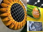 Выставочный стенд «Диво Алтая» на выставке «Продэкспо 2026»
